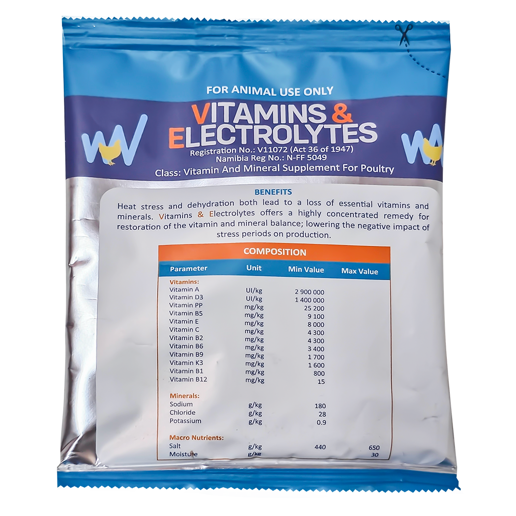 Vitamins & Electrolytes 100g