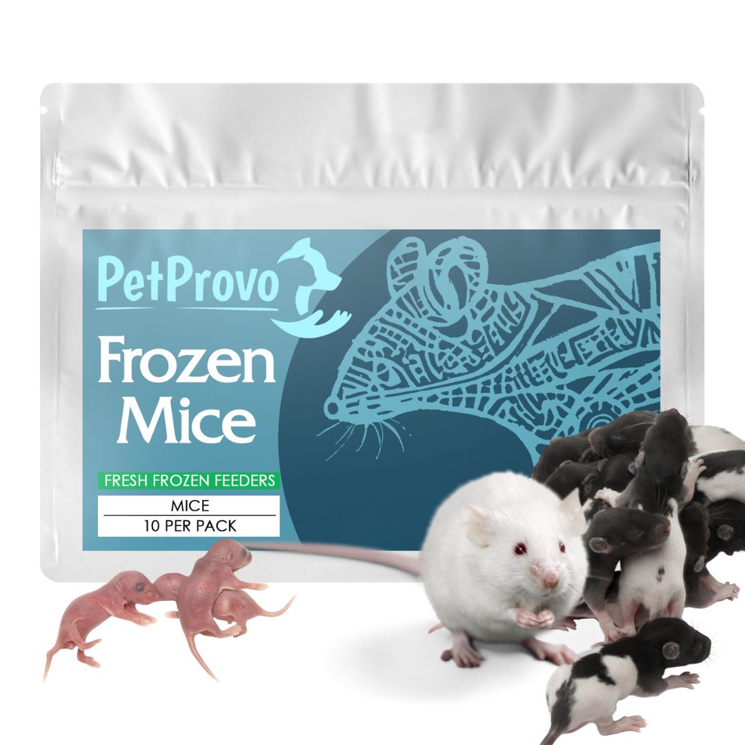 Frozen Mice 10 Pack