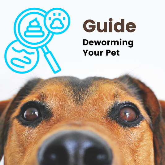 Deworming Your Pet: A Seasonal Guide