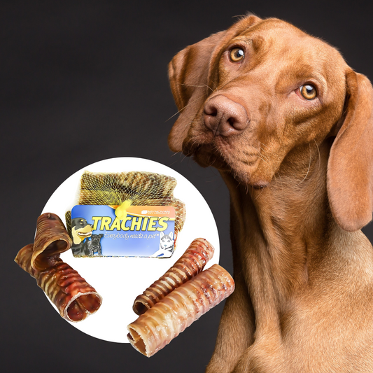 Dried Treats: Unleash the Power of Chew