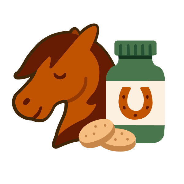 Horses and More
