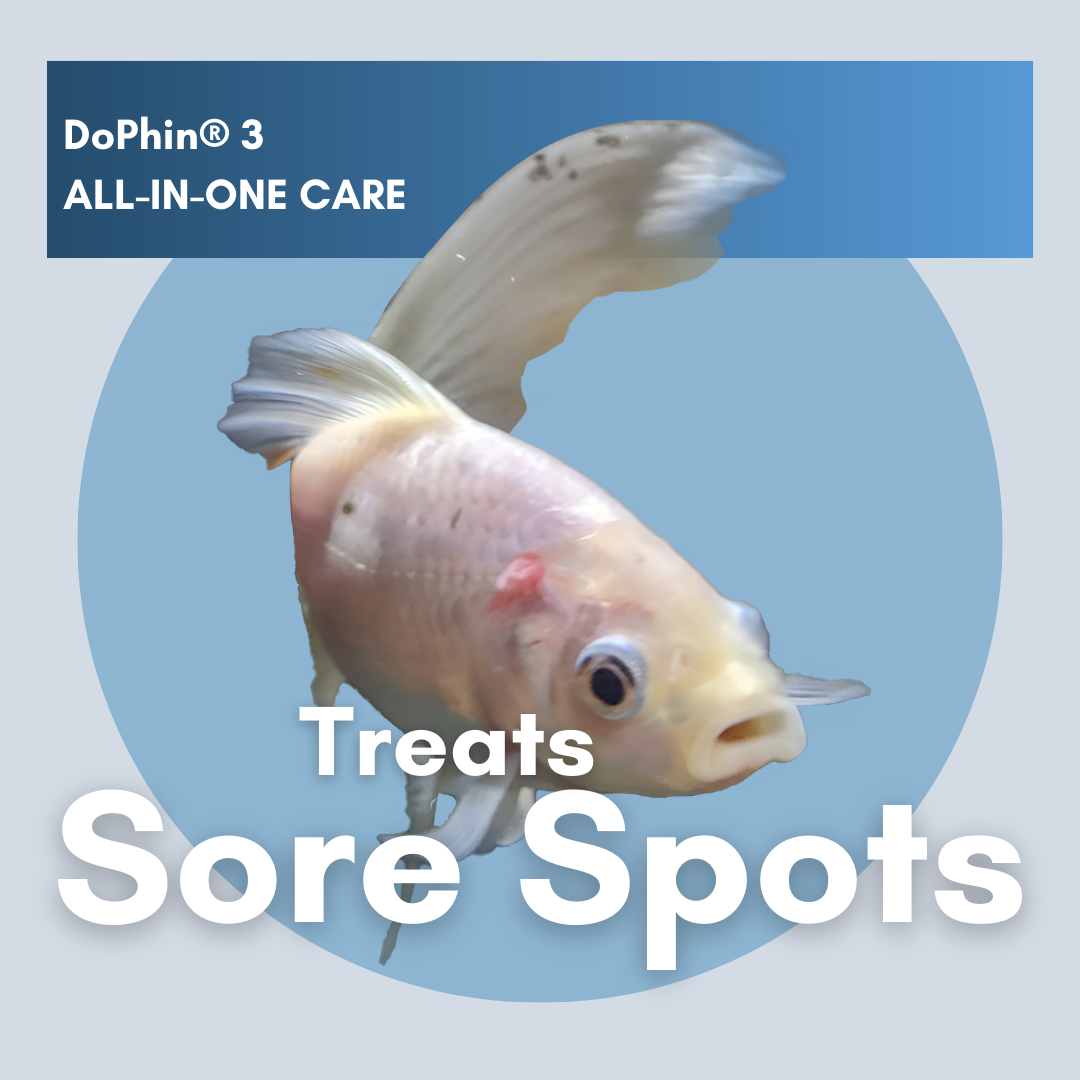 DoPhin® #3 Aquarium All-in-One Care: Treat Multiple Fish Diseases Instantly 200ml