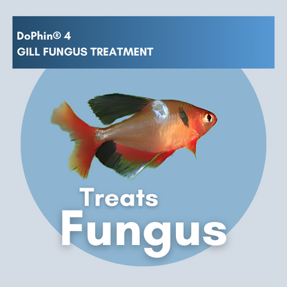 DoPhin® #4 Aquarium Gill Fungus Treatment - Safe & Effective 200ml