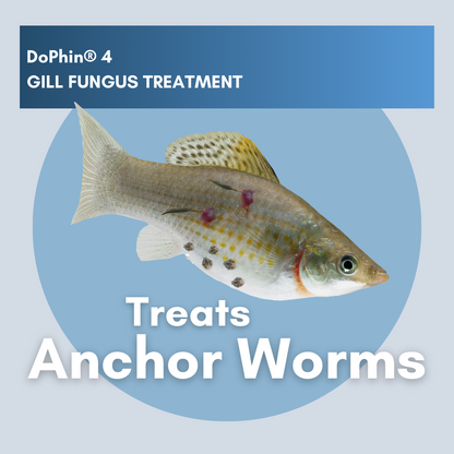 DoPhin® #4 Aquarium Gill Fungus Treatment - Safe & Effective 200ml