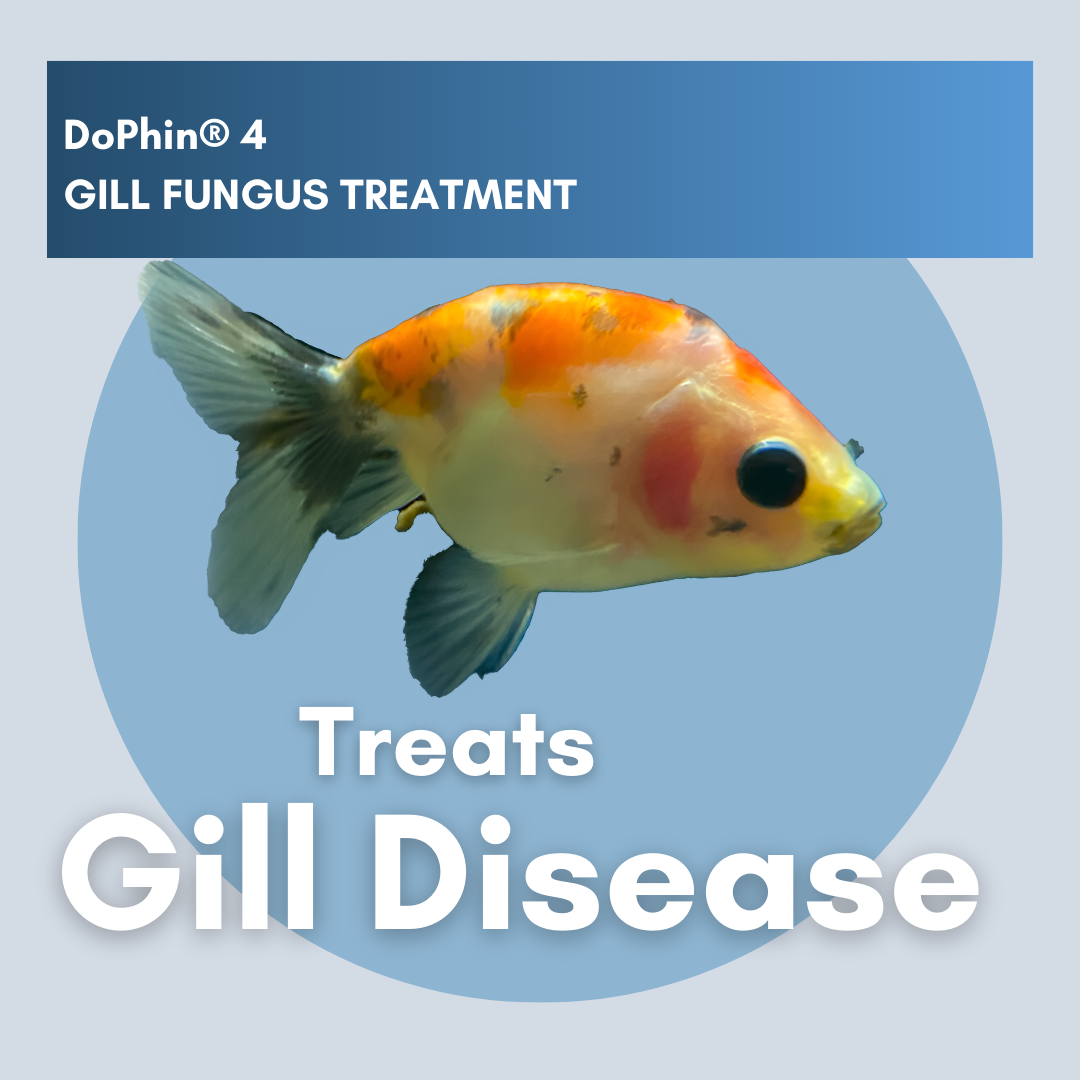 DoPhin® #4 Aquarium Gill Fungus Treatment - Safe & Effective 200ml