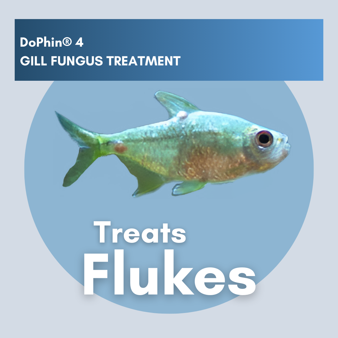 DoPhin® #4 Aquarium Gill Fungus Treatment - Safe & Effective 200ml