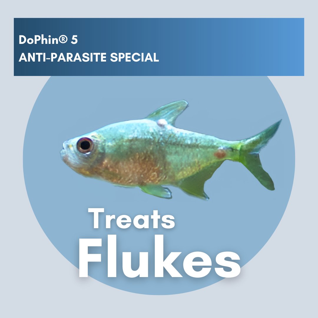 DoPhin® #5 Aquarium Anti-Parasite Treatment - Broad-Spectrum Formula 200ml