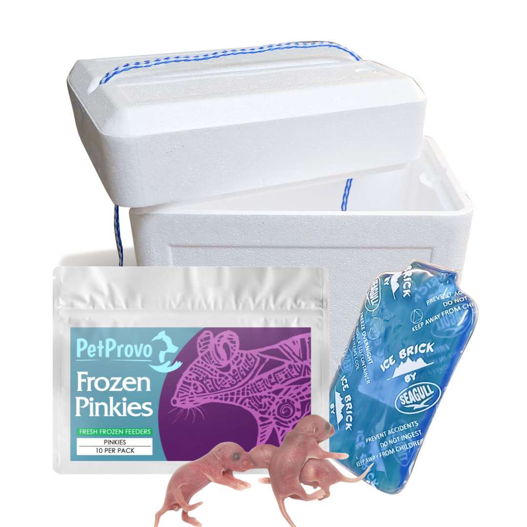 Frozen Mice Pinkies 10 Pack