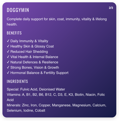 Doggymin Natural Vitamin & Mineral Supplement 1l