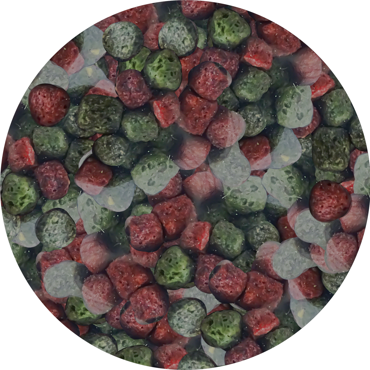 NEEDApet® Nutrition Koi Pellets 1kg