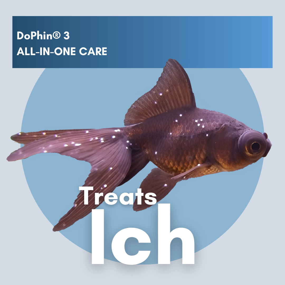 DoPhin® #3 Aquarium All-in-One Care: Treat Multiple Fish Diseases Instantly 200ml