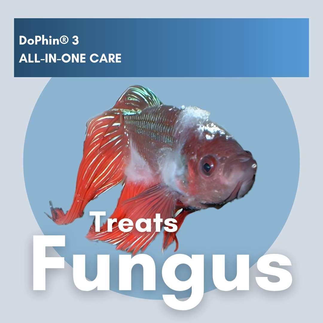 DoPhin® #3 Aquarium All-in-One Care: Treat Multiple Fish Diseases Instantly 200ml