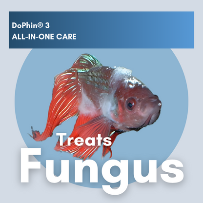 DoPhin® #3 Aquarium All-in-One Care: Treat Multiple Fish Diseases Instantly 200ml