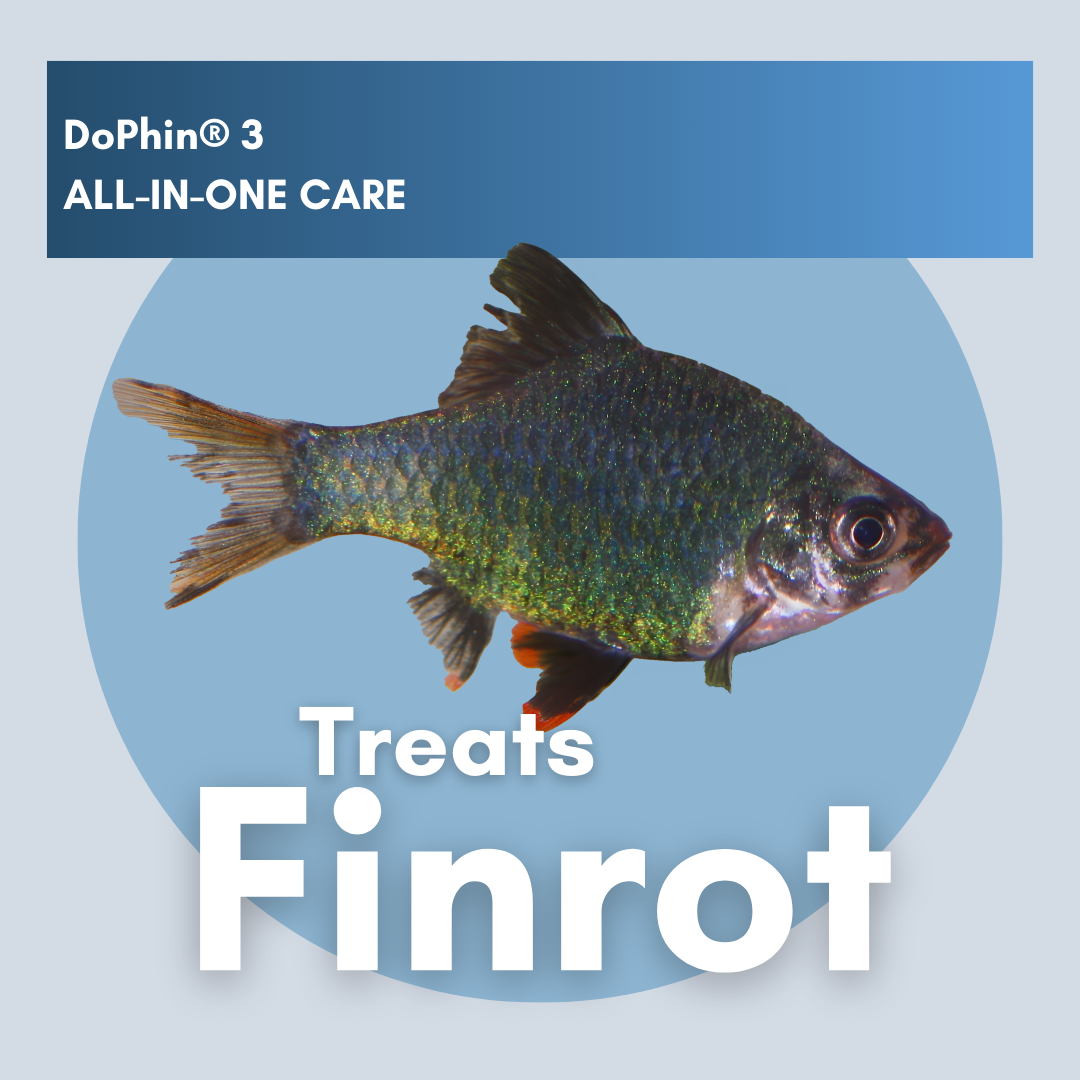 DoPhin® #3 Aquarium All-in-One Care: Treat Multiple Fish Diseases Instantly 200ml