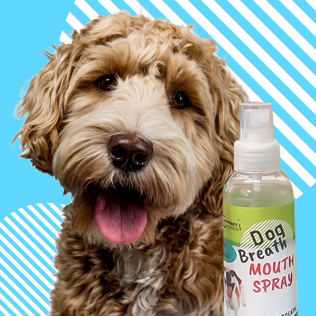 Groomer's Choice Pet Mouth Spray 125ml