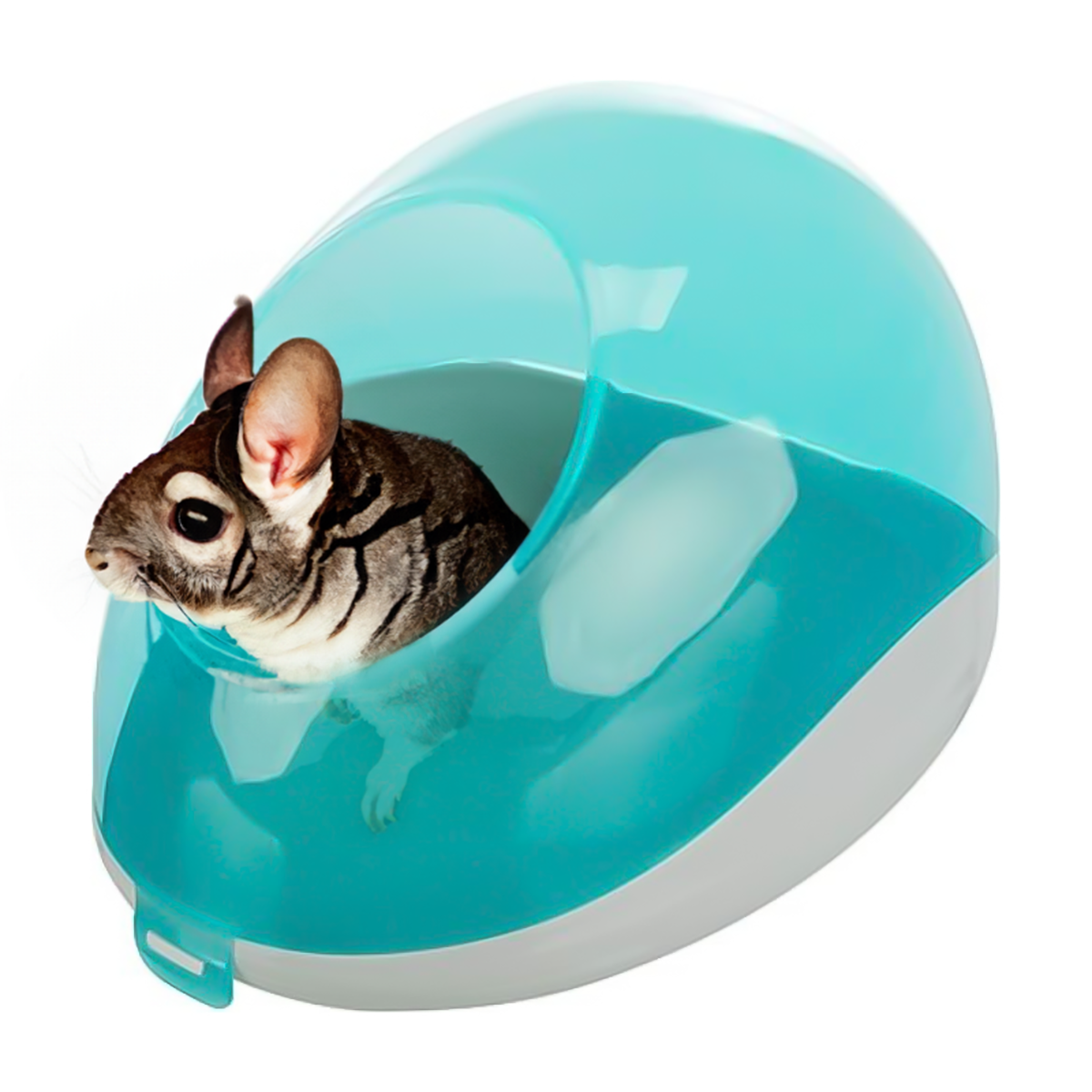 Bathing Solutions For A Chinchilla preview