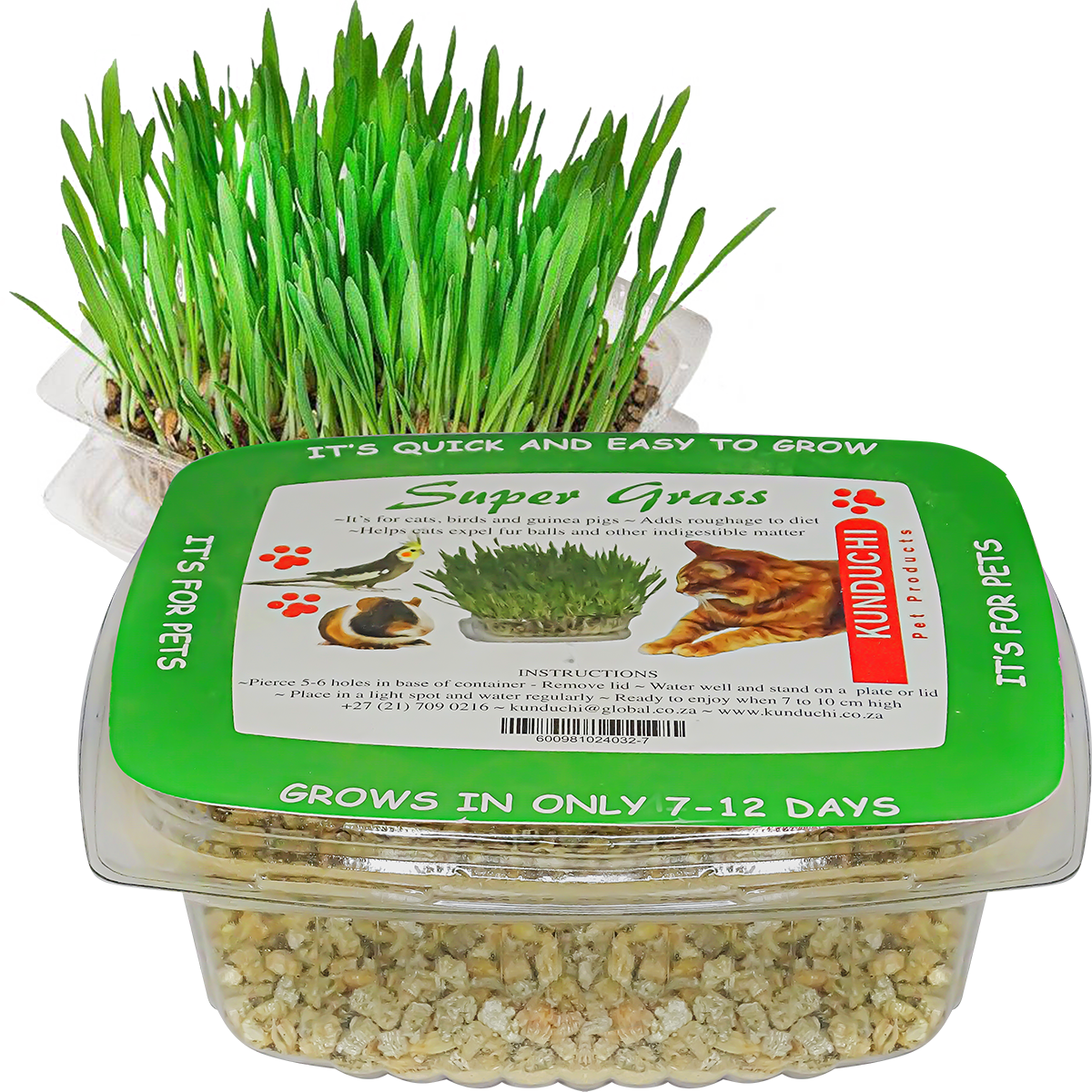 Feline Quick Growth Super Grass