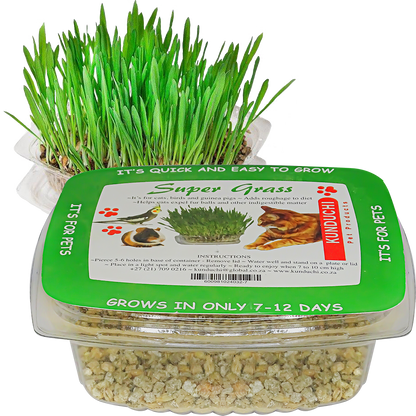 Feline Quick Growth Super Grass