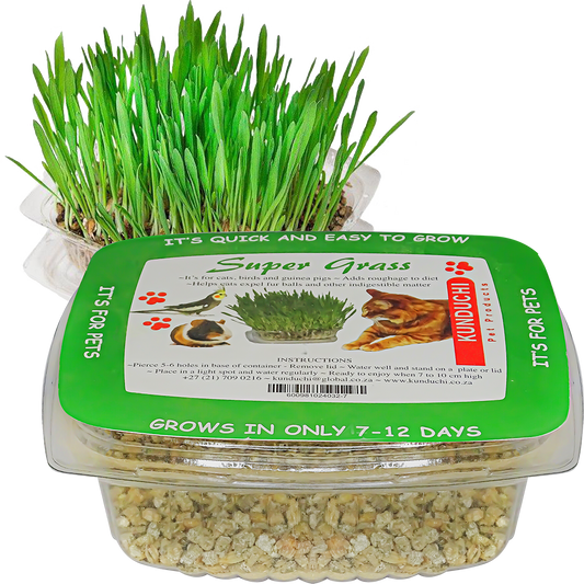 Feline Quick Growth Super Grass