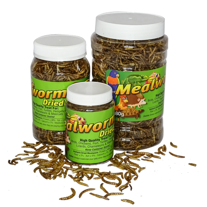 Freeze Dried Mealworms