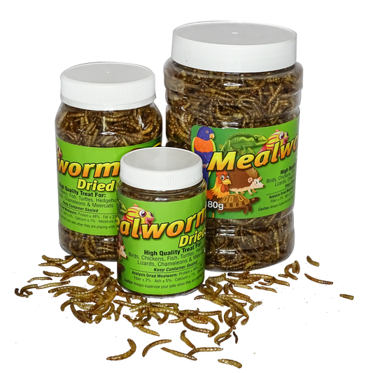 Freeze Dried Mealworms