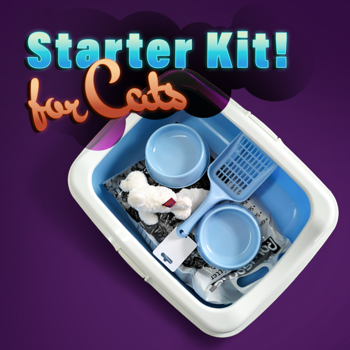 Cat Starter Kit