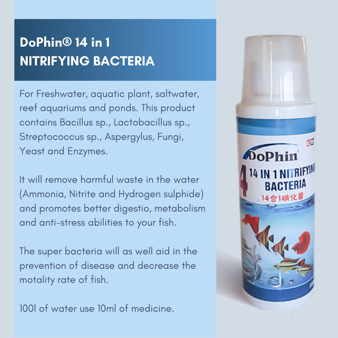 DoPhin® Probiotic Blend - Order Now for a Healthier Aquarium! - petprovo.co.za