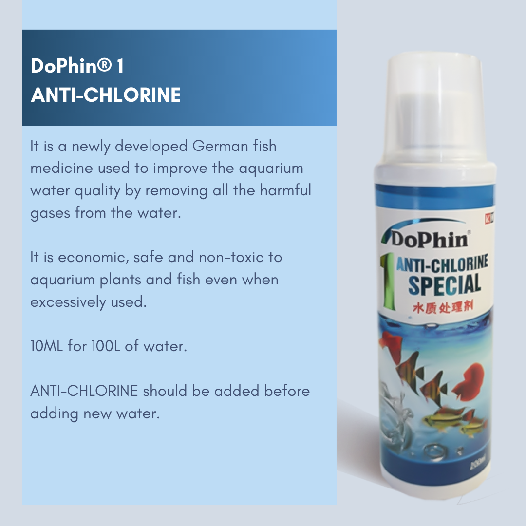 DoPhin® Probiotic Blend - Order Now for a Healthier Aquarium! - petprovo.co.za