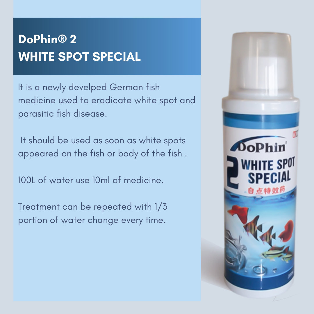 DoPhin® Probiotic Blend - Order Now for a Healthier Aquarium! - petprovo.co.za