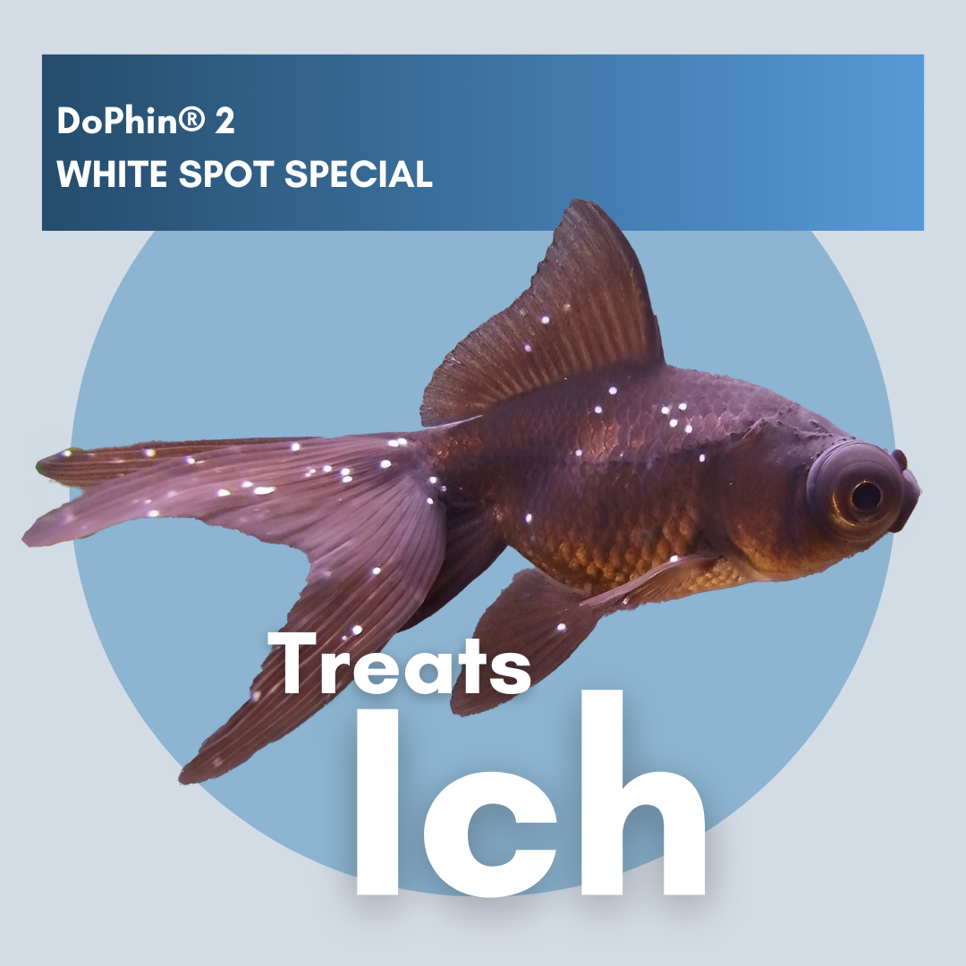 DoPhin® #2 White Spot Treatment: Fast & Effective Relief for Freshwater Fish 200ml