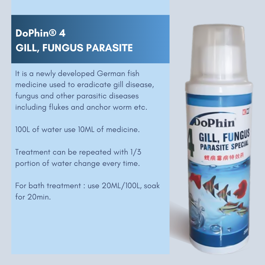 DoPhin® Probiotic Blend - Order Now for a Healthier Aquarium! - petprovo.co.za