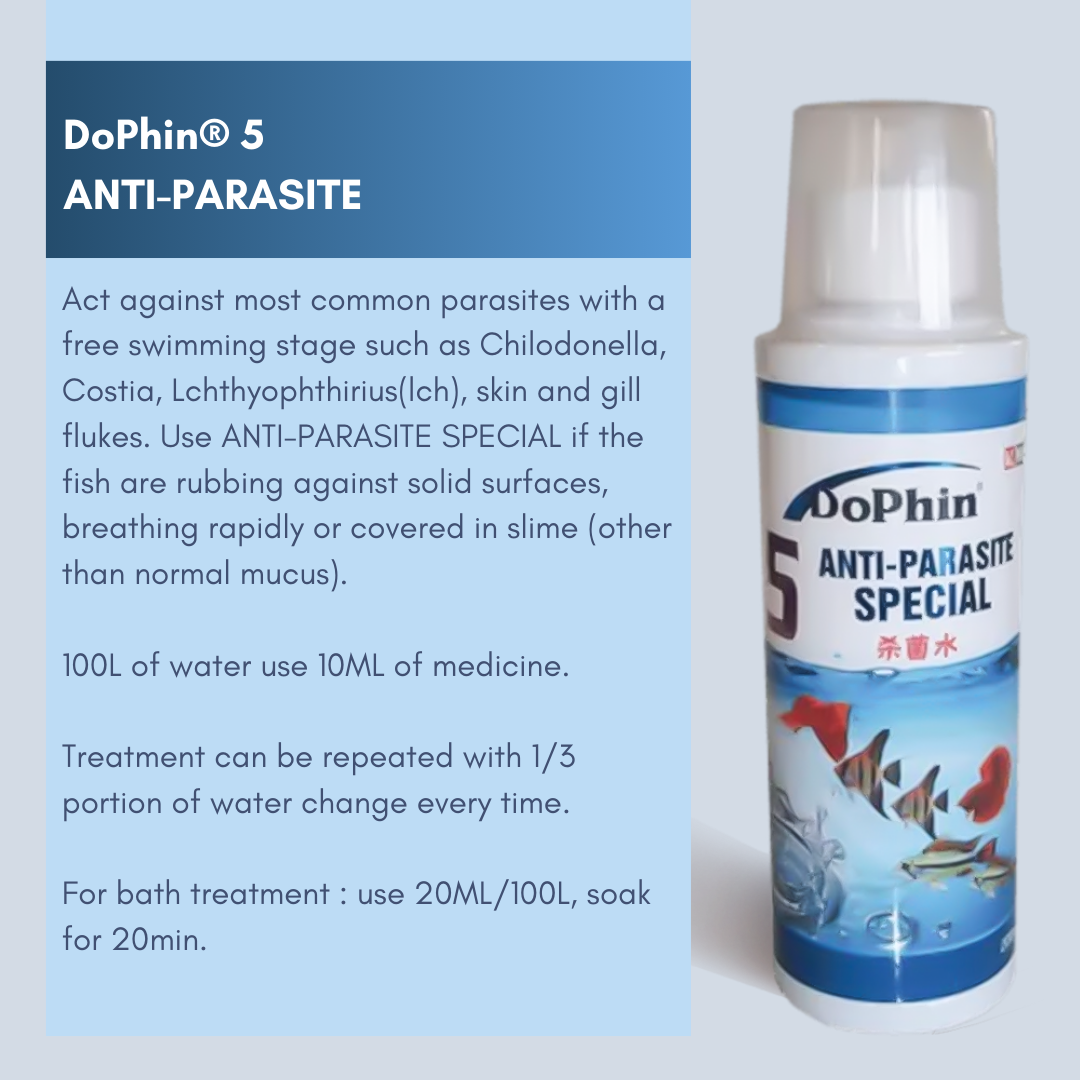 DoPhin® Probiotic Blend - Order Now for a Healthier Aquarium! - petprovo.co.za