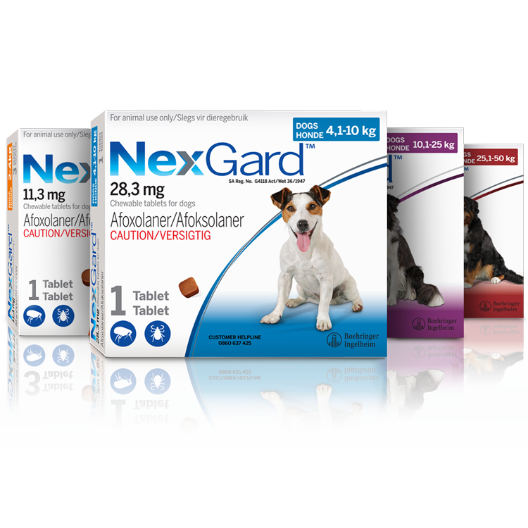 Nexgard Single Tablet Parasite Control Chewies for Dogs