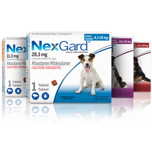 Nexgard Single Tablet Parasite Control Chewies for Dogs