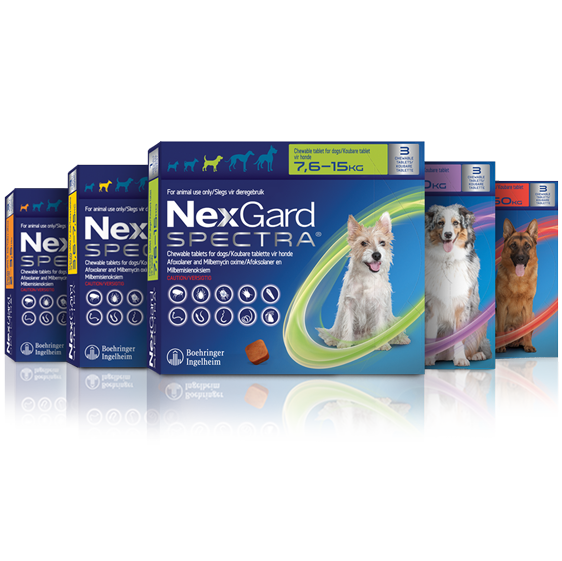 Nexgard Spectra Flea Chewies Dogs