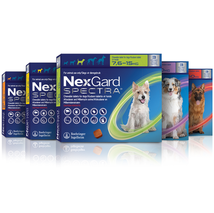 Nexgard Spectra Flea Chewies Dogs