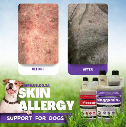 Doggymin Natural Vitamin & Mineral Supplement 1l