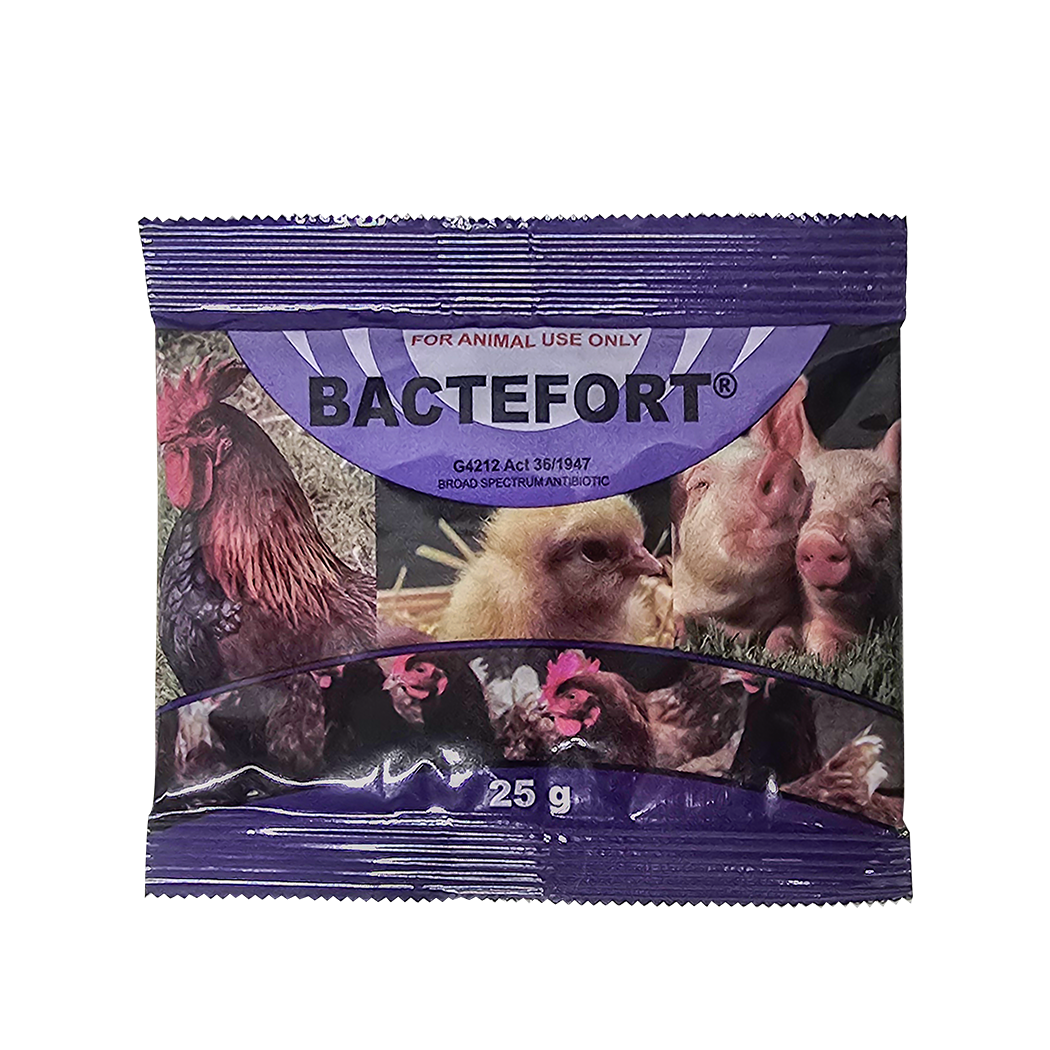 Bactefort Bactefort 50% 25g – PetProvo