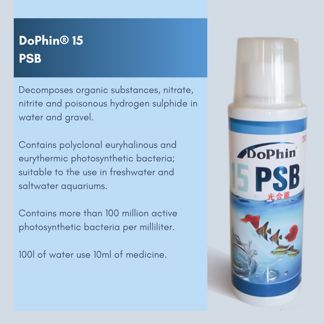 DoPhin® Probiotic Blend - Order Now for a Healthier Aquarium! - petprovo.co.za