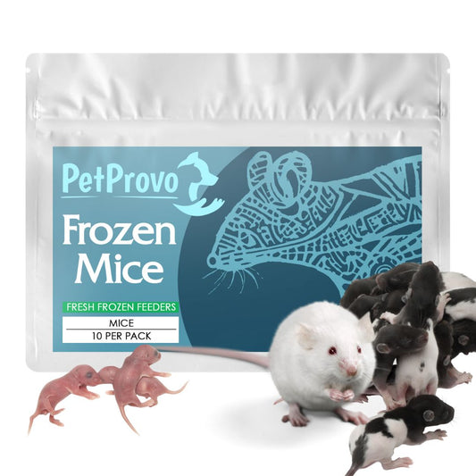 Frozen Mice 10 Pack