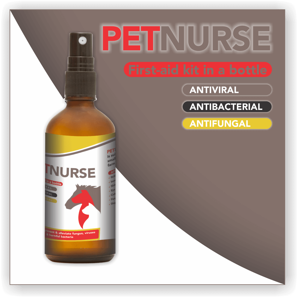 Petnurse for All Animals