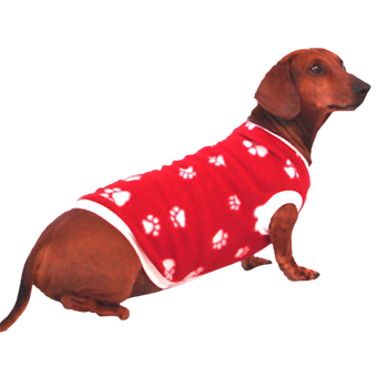 Classy Dog Body Winter Jersey